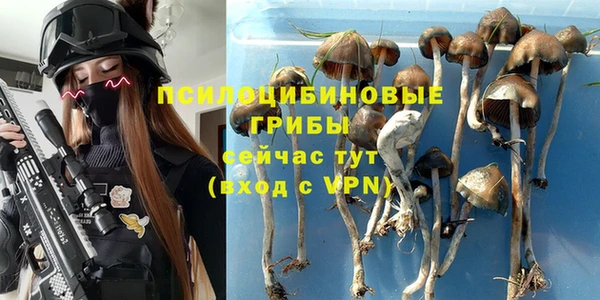 jwh Арсеньев