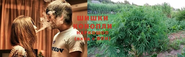 гидропоника Богородицк